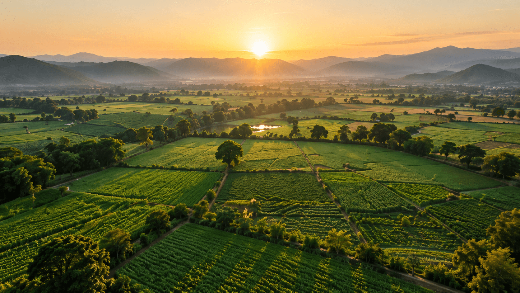 Fertile Agricultural Land